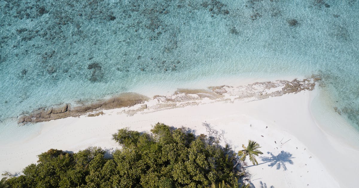 découvrez votre destination de rêve, un lieu enchanteur où se mêlent paysages à couper le souffle et expériences inoubliables. laissez-vous séduire par cette aventure unique qui éveillera vos sens et nourrira votre esprit d'exploration.