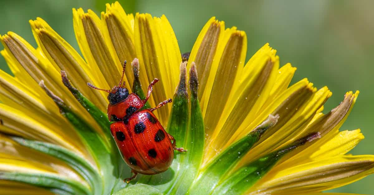 découvrez les tendances et préférences estivales qui rendent l'été inoubliable. des activités en plein air aux styles de mode, plongez dans l'univers des choix saisonniers qui embellissent vos journées ensoleillées.